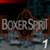 Boxer Spirit (Professional) - Race #1