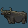 Water Buffalo