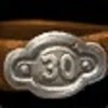 Level 30