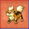 Professor Bridgette Challenge: Growlithe Family