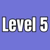 Level 5