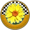 Copa Girasol