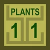 11 Plants