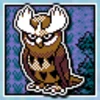 Noctowl