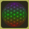 FLOWER OF LIFE