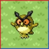 Professor Bridgette Challenge: Hoothoot Family