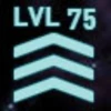 Level 75