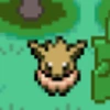 Long Lost Eevee