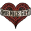 Mr. Nice Guy