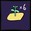 plant 6 eggplants same time