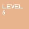 Level 5