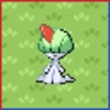 Professor Bridgette Challenge: Ralts Family