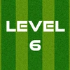 Complete Level 6