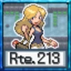 Completion Road : Route213