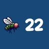 Flies 22