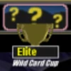 Wild Card Cup (Elite)