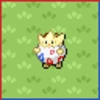 Professor Bridgette Challenge: Togepi Family