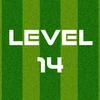 Complete Level 14