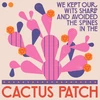 Cactus Patch