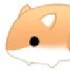 Hamster