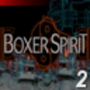 Boxer Spirit (Professional) - Race #2