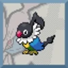 Chatot