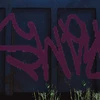 Graffiti 5