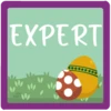 Expert Mode