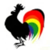 rainbow rooster