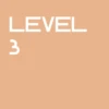 Level 3