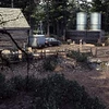 Abandoned farm