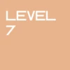 Level 7