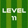 Complete Level 11