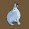 Snowshoe Hare