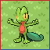 Professor Bridgette Challenge: Treecko Family