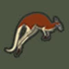 Red Kangaroo