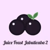 JUICE FEAST JABUTICABA II