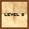 Level 8