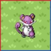 Professor Bridgette Challenge: Rattata Family