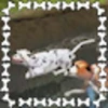 I Spotted an Albino Dalmation. It Was the Least I Could Do