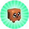 Your First Pet