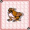 Pidgey