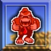 Administrator Kong