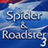 Spider & Roadster (Professional) - Race #3