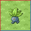 Professor Bridgette Challenge: Oddish Family