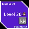 Level up 30