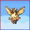 Professor Bridgette Challenge: Pidgey Family