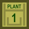 1 Plant