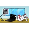CEO Cats
