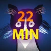 22 MIN